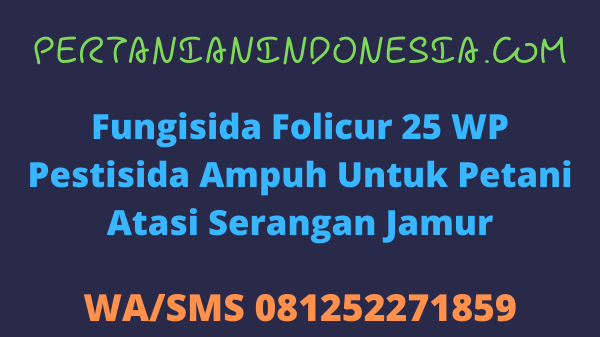 Fungisida Folicur 25 WP Pestisida Ampuh Untuk Petani Atasi Serangan Jamur